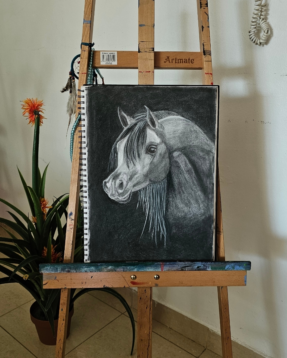 Picture of Sold